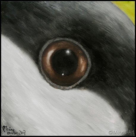 Augenblick einer Kohlmeise Acryl auf Leinwand;
30 x 30 cm